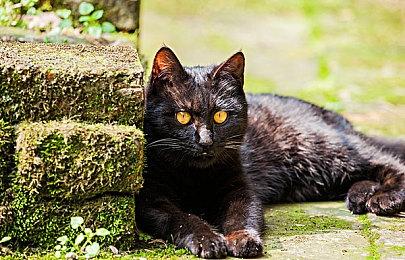 《全境封锁2》下个大型更新延期 将于2022年2月上线